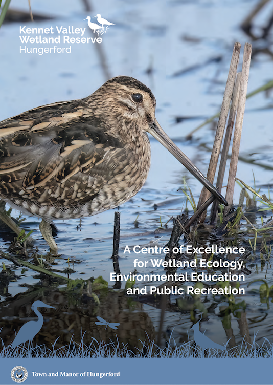 Fundraising newsletter thumb